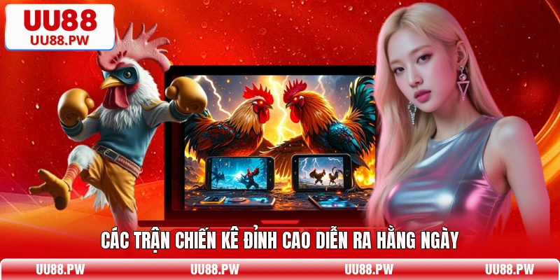 Các trận chiến kê đỉnh cao diễn ra hằng ngày