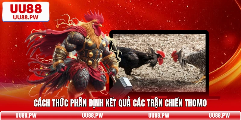 Cách thức phân định kết quả các trận chiến Thomo
