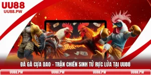 Đá Gà Cựa Dao - Trận Chiến Sinh Tử Rực Lửa Tại UU88