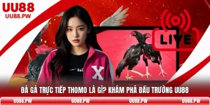 Đá Gà Trực Tiếp Thomo Là Gì? Khám Phá Đấu Trường UU88