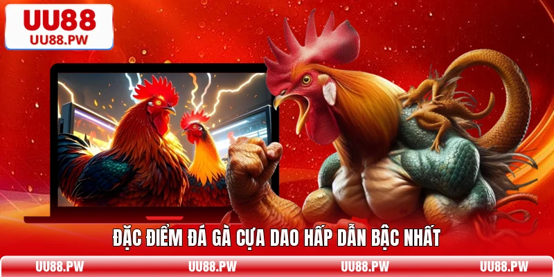 Đặc điểm đá gà cựa dao hấp dẫn bậc nhất