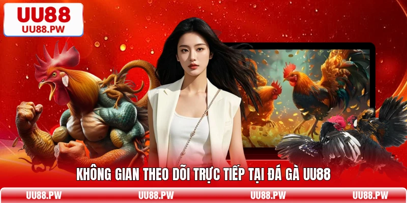 Không gian theo dõi trực tiếp tại đá gà UU88