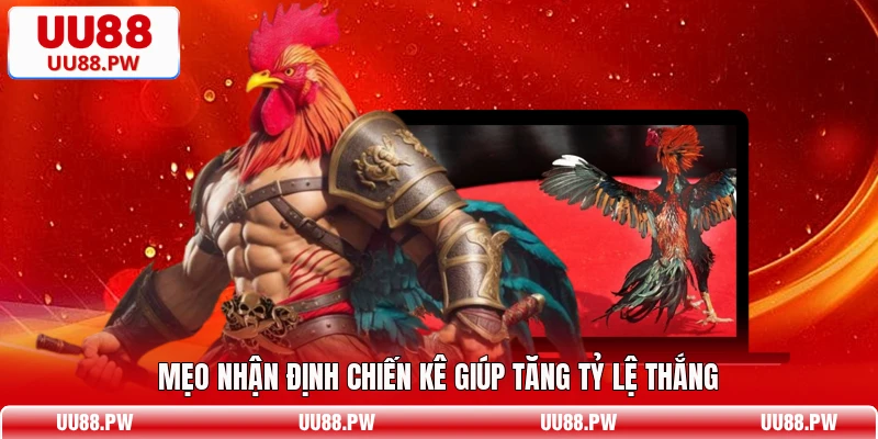 Mẹo nhận định chiến kê giúp tăng tỷ lệ thắng